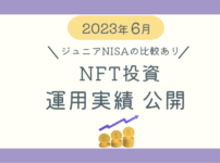 NFT投資実績ブログ記事5月分